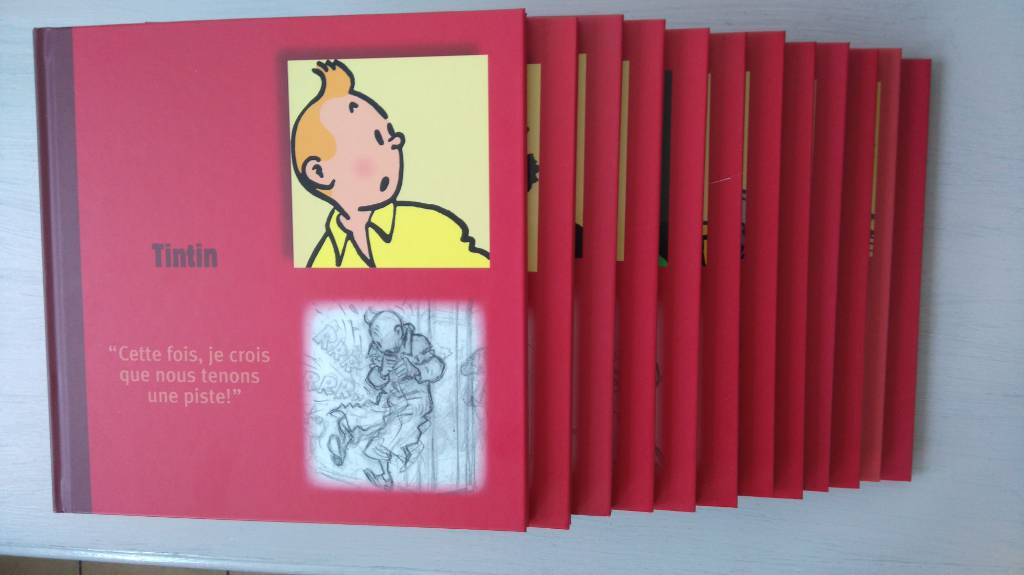 ÉDITION COLLECTOR TINTIN - Hergé (1907-1983) | Puces Privées