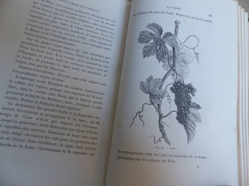 No - 311 - Histoire et légendes des plantes utiles et curieuses Paris 1868 | Puces Privées