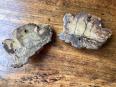 paire de Putti bois ancien | Puces Privées