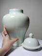 Grande potiche chinoise céramique glacée céladon | Puces Privées