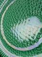 7 Assiettes plates anciennes poissons vert barbotine de Sarreguemines | Puces Privées