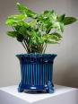 Cache pot vintage années 60-80 faïence glacée turquoise Charolles | Puces Privées