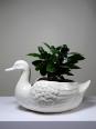 Cache pot/Coupe canard en faïence craquelée beige vintage | Puces Privées