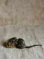 No - 605 - Souris en bronze par CARVIN Louis Albert sculpteur  1875 - 1951 | Puces Privées