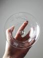 8 Coupes à champagne verre gravé à la roue décor végétal, Bohême, début XXe | Puces Privées