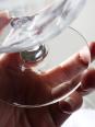 8 Coupes à champagne verre gravé à la roue décor végétal, Bohême, début XXe | Puces Privées
