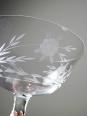 8 Coupes à champagne verre gravé à la roue décor végétal, Bohême, début XXe | Puces Privées