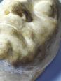 Masque mortuaire de Beethoven en plâtre, début XXe siècle | Puces Privées