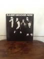 Album Flamin'groovies, Vinyls, Musique | Puces Privées