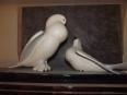 statue pigeons | Puces Privées