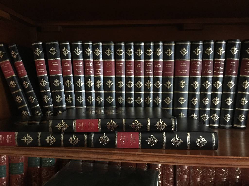 Série de livres | Puces Privées