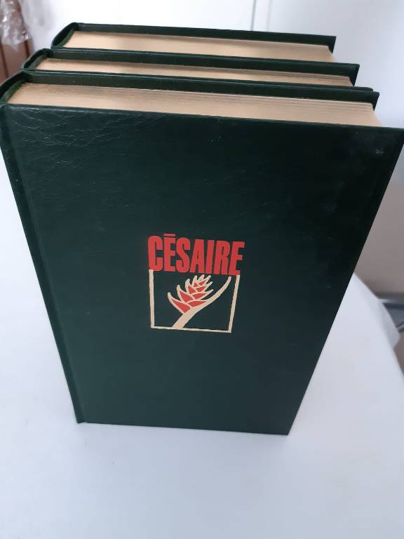 Aimé Césaire | Puces Privées