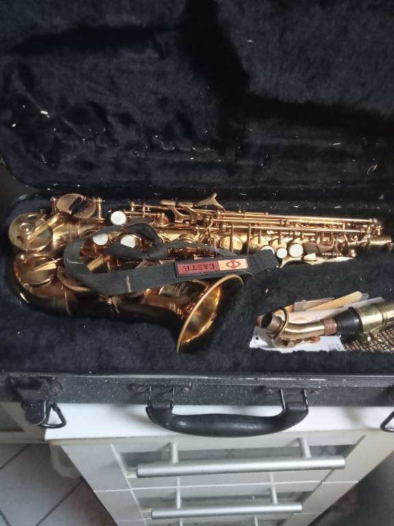 saxophone stagg 77-ssc soprano trés peu servi avec malette | Puces Privées