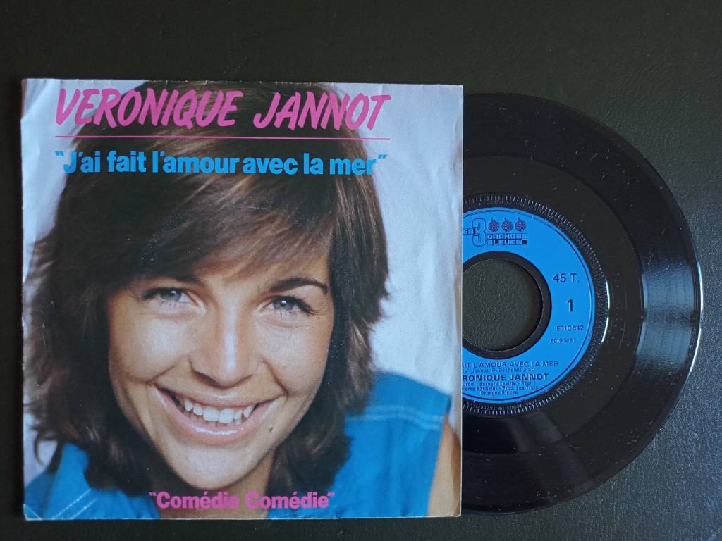 Lot de Disques vinyles 45T, variété française 1960 à 90 | Puces Privées