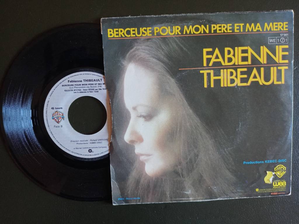 Lot de Disques vinyles 45T, variété française 1960 à 90 | Puces Privées