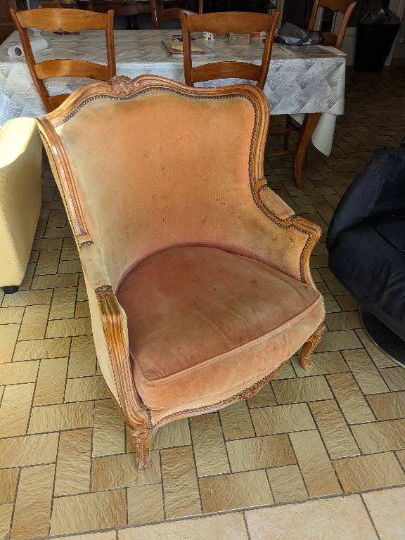 lot de 2 bergères velours rose | Puces Privées