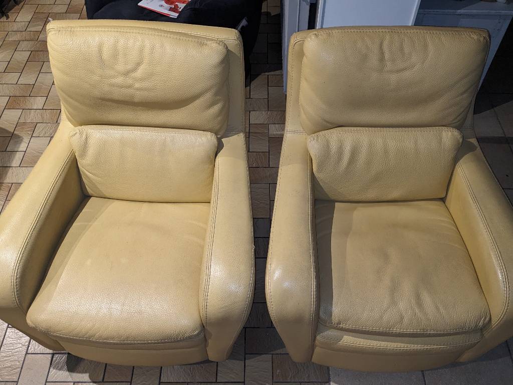 lot de 2 fauteuil cuir jaune pâle | Puces Privées