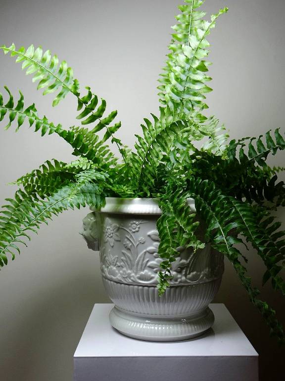 Gros cache pot/seau à champagne porcelaine Haviland Limoges repro St Cloud | Puces Privées