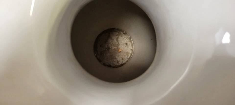 Asie XXeme : paire de vases en porcelaine émaillée de Satsuma | Puces Privées