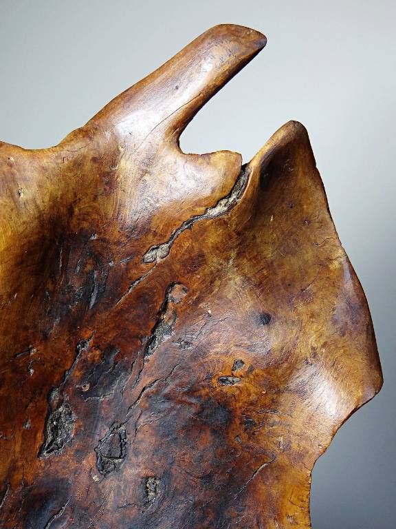 Grande coupe monoxyle en bois brut d'olivier foncé années 50 | Puces Privées