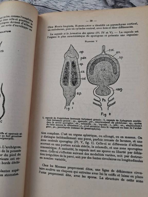 Livre Ancien Cours De botanique D Bach fleurs de Bach tome II 5Ème Édition rare | Puces Privées