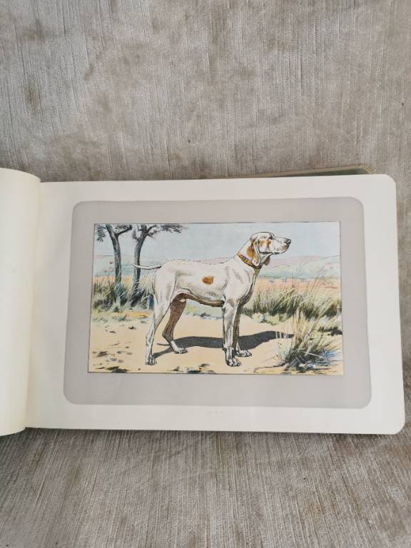 No - 620 - Les chiens le gibier et ses ennemis 1907 | Puces Privées