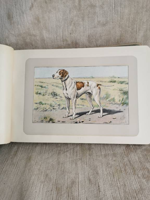 No - 620 - Les chiens le gibier et ses ennemis 1907 | Puces Privées