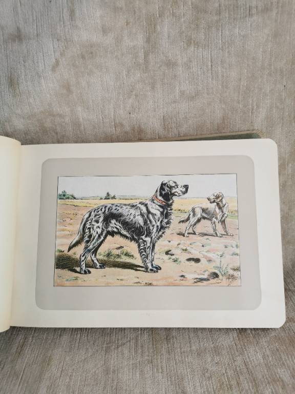 No - 620 - Les chiens le gibier et ses ennemis 1907 | Puces Privées