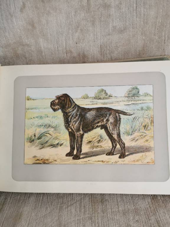 No - 620 - Les chiens le gibier et ses ennemis 1907 | Puces Privées