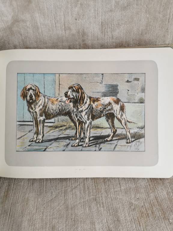 No - 620 - Les chiens le gibier et ses ennemis 1907 | Puces Privées