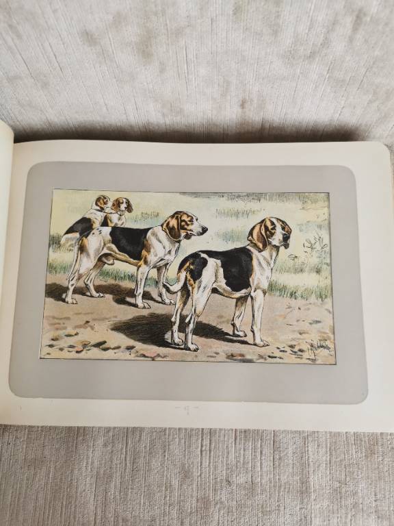 No - 620 - Les chiens le gibier et ses ennemis 1907 | Puces Privées