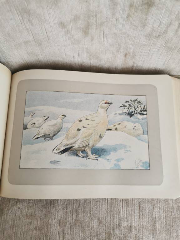 No - 620 - Les chiens le gibier et ses ennemis 1907 | Puces Privées