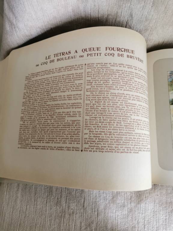 No - 620 - Les chiens le gibier et ses ennemis 1907 | Puces Privées