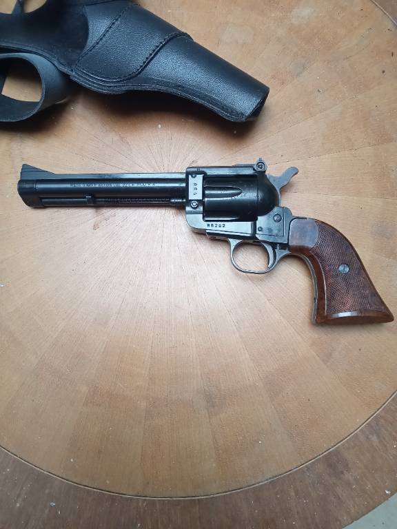 revolvert 22 LR 1 coup | Puces Privées