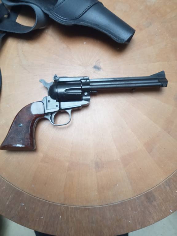 revolvert 22 LR 1 coup | Puces Privées