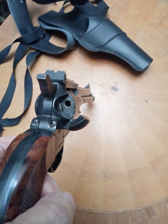 revolvert 22 LR 1 coup | Puces Privées