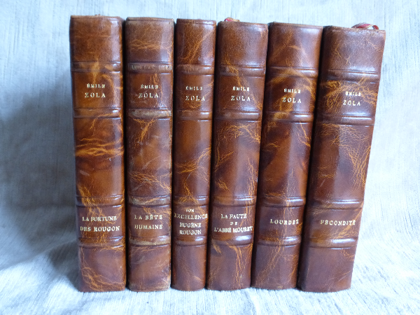 No - 19 -  Emile Zola 17 volumes dos cuir époque 19 ème -  éditeur Bibliothèque-Charpentier- Paris., Littérature, Livres | Puces Privées