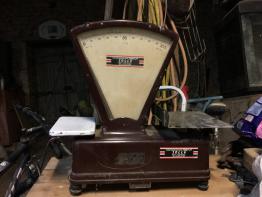 Brocante 41, vitrine La carapace, brocante Loir-et-Cher | Puces Privées