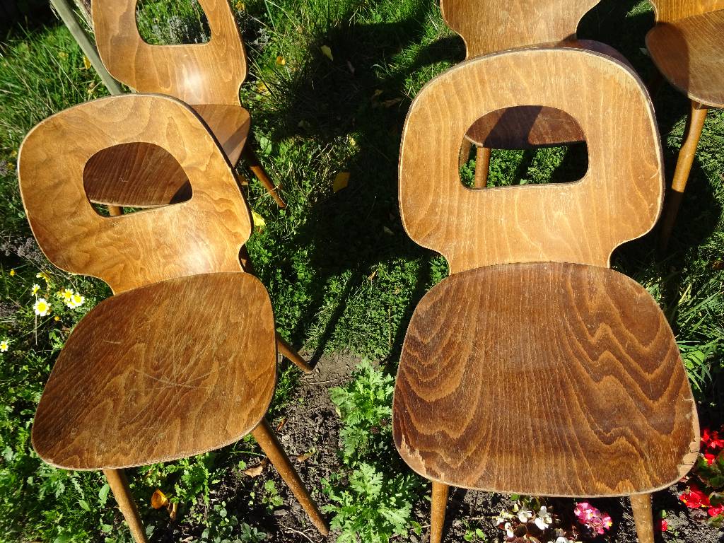 chaises baumann | Puces Privées